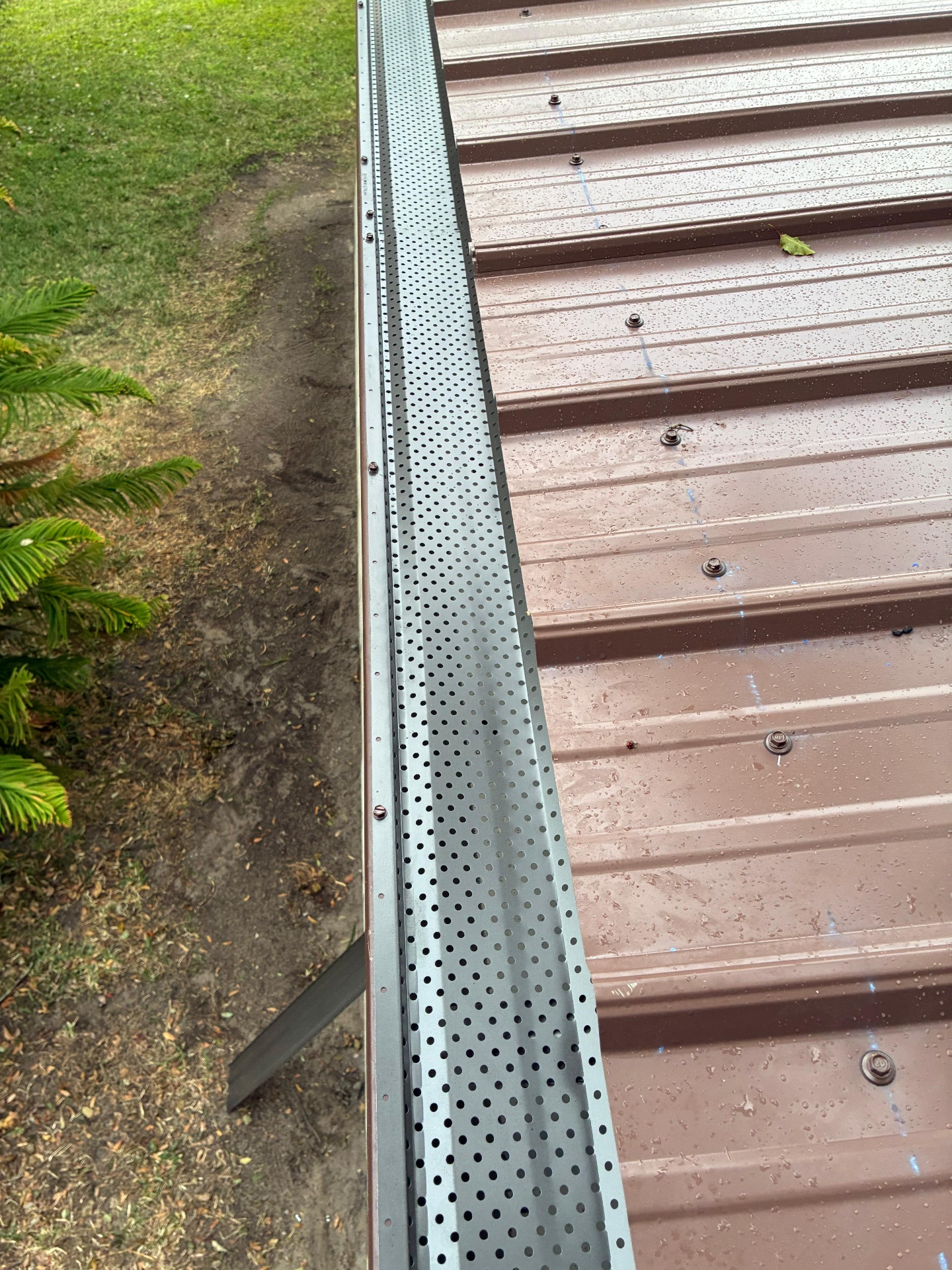 Leaf Guard Installation